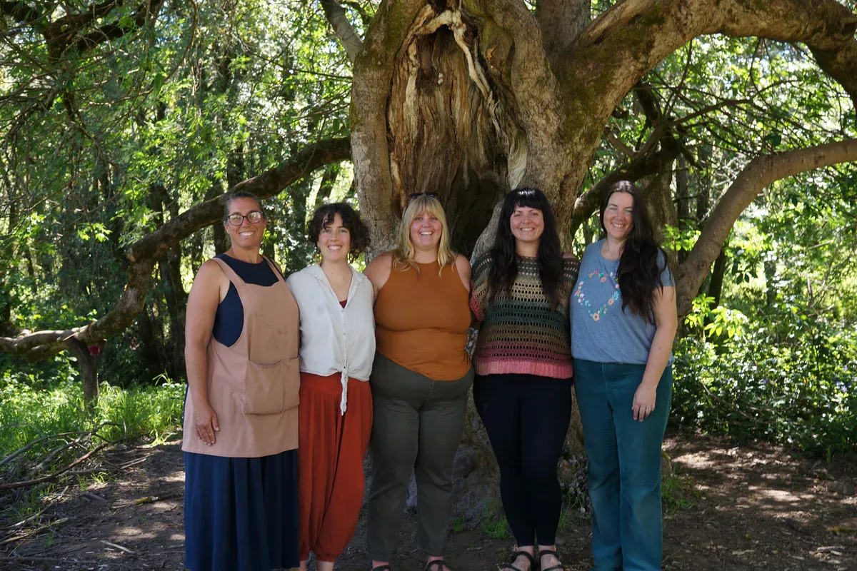 The five BeeHive mentors standing together under a large oak tree