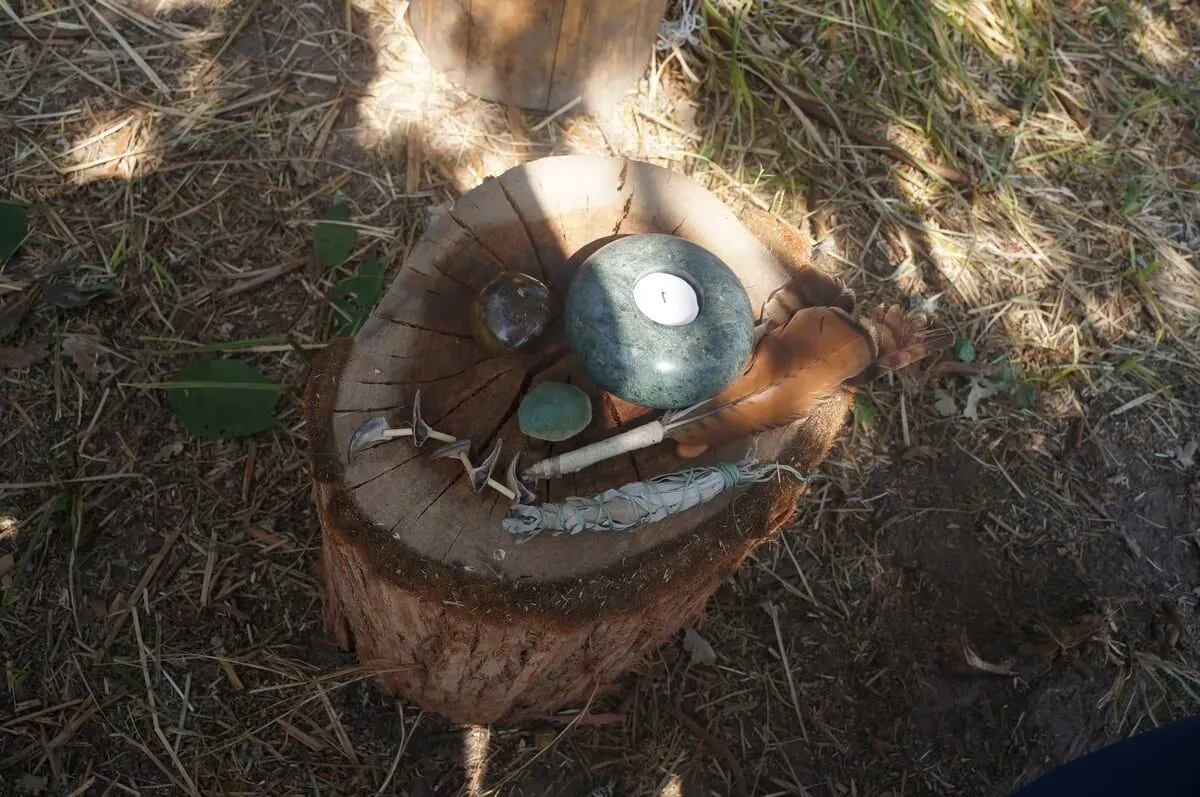 Outdoor scene at BeeHive Land-Based Learning Center