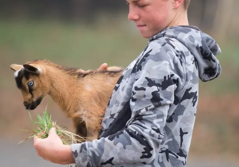 Children participating in a hands-on outdoor learning activity